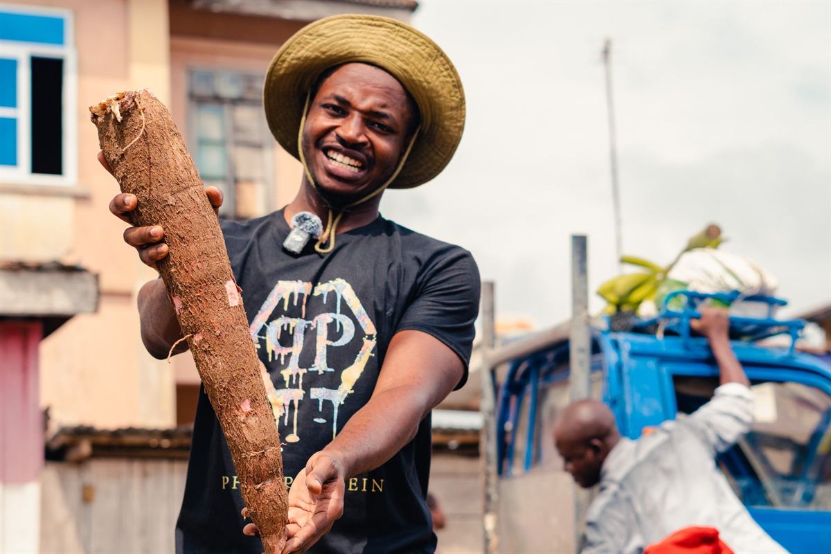 Racines de manioc fraîchement récoltées, présentées par un producteur