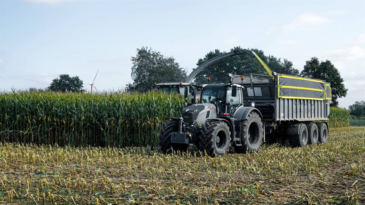 Tracteur et benne de transbordement à la récolte du maïs
